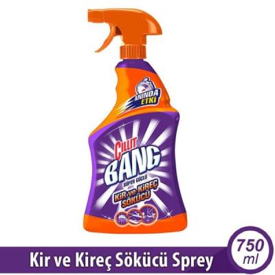 Cillit Bang Kir ve Kireç Sökücü Sprey 750 Ml