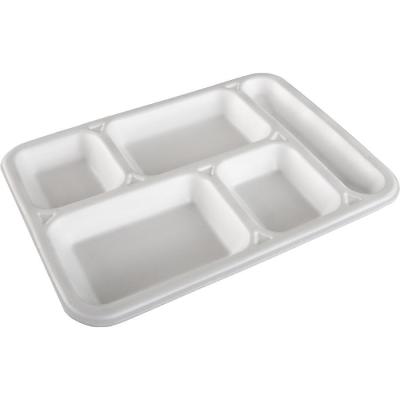 Köpük Tabak 5 Göz Kapaksız 100'lü